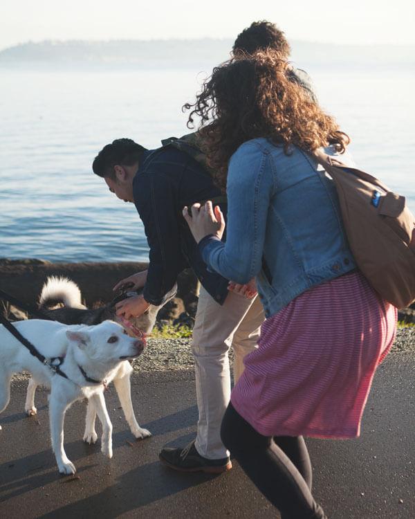 petting dogs on a walk path